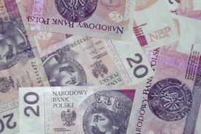 background from polish banknotes