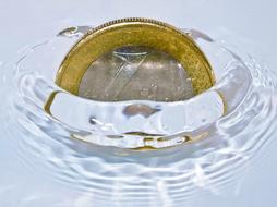 the euro coin is dipped into the water