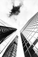 black and white picture of skyscrapers in downtown