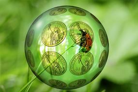 ball with coins and ladybug on blurred green background