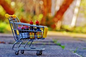 buying cart with maple syrup