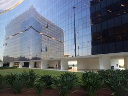 Shiny, glass buildings with the reflection of other building, green trees and pole