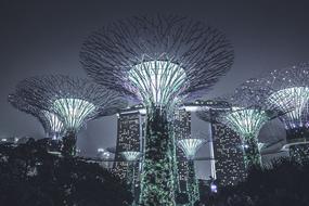 Beautiful, decorated towers with colorful, bright lights at night