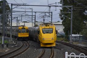 two trains with yellow locomotives on rails