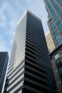 city skyscrapers on a sunny day