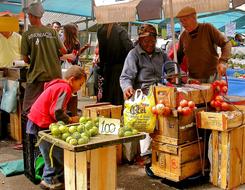 vegetable market Seller