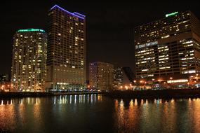 chicago skyscrapers are reflected in the water at night