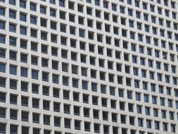 window cells of windows on the facade of a building in Dallas, Texas