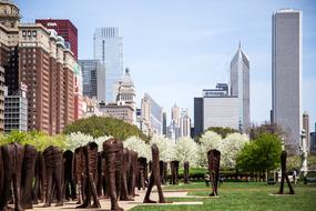 trees near office buildings