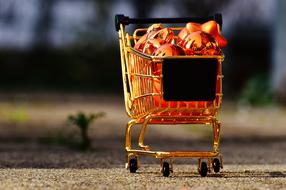 shopping cart for christmas on blurred background