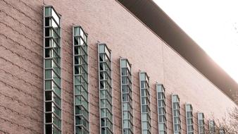 Facade of the building, with the windows, near the plants, in sunlight