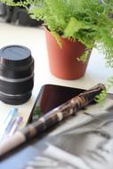 black lens near the plant on the table close up