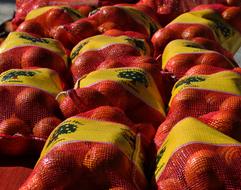 sacks of oranges in the market