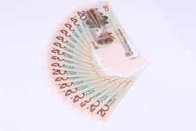 fan of 20 yuan on white