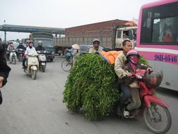 Busy Street Vietnam Traffic People