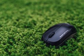 Mouse Business Technology on grass