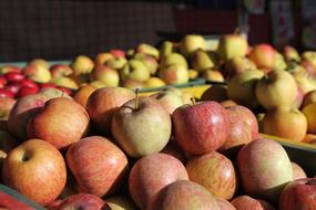 pink, yellow and red apples on the market counter