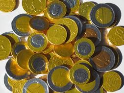 Chocolate Taler Money Coins