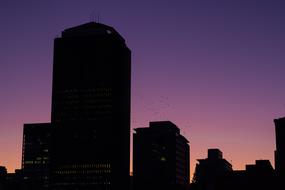 Urban City Skyline sunset