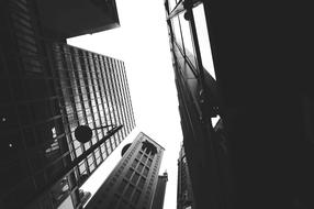 Black and white photo with low angle shot of the shiny buildings with windows, under the sky