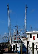 Commercial Fishing Nets Shrimp