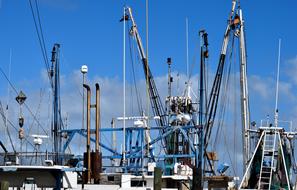 industrial shrimp nets on a sunny day