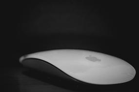 apple Mouse Business device