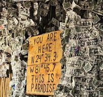 you are here this is paradise, board among dollar bills with inscriptions