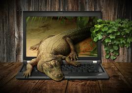 Crocodile crawling through Laptop Display in room