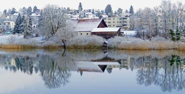 Landscape Nature Winter snow