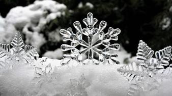 Ice Stars Winter drawing