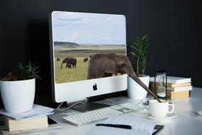 elephant from the computer drinks tea from a Cup