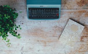 Vintage Typewriter and potted Plant, top view