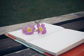 Bench and Flower and Notebook