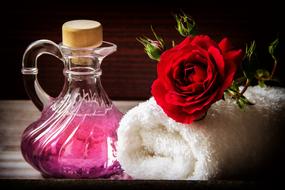 oil towel rose