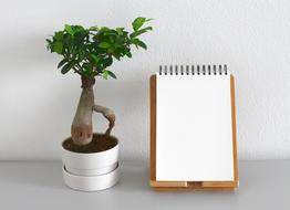 Leaf Plant and note