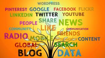 social media plant