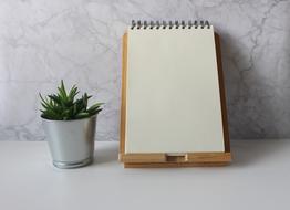 clean notebook and a potted flower