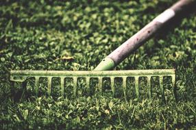 old rakes are on the lawn