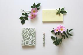 rosehip flowers and notebook, top view