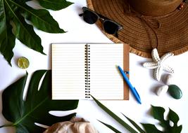 Summer Leaves Tropical and papper book