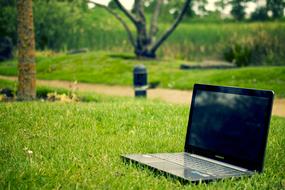 open black Laptop on lawn