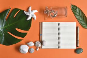 Summer, flat lay, Pebbles and leaves around open blank notebook