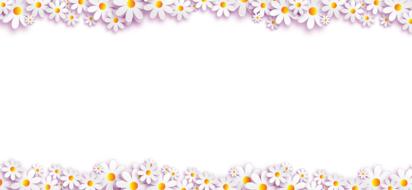 chamomile as a frame on a banner