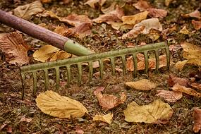 Autumn Gardening tool