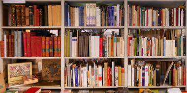 shelves full of books