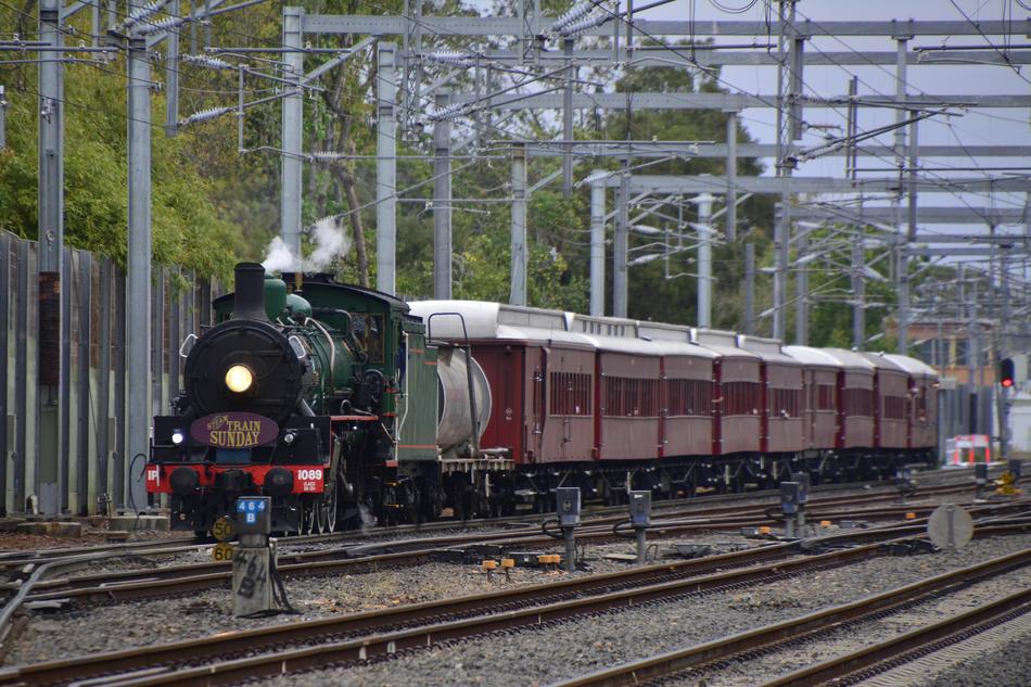 Green and red train, on the beautiful railway, near the green trees
