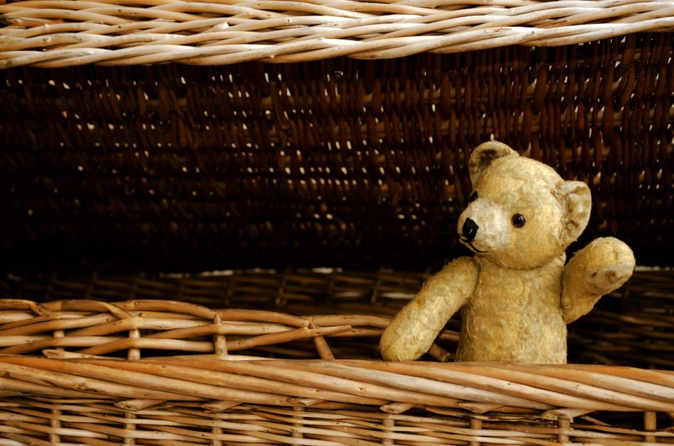 teddy bear in a wicker basket