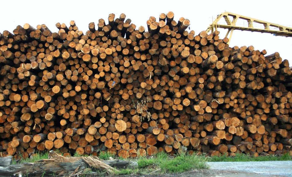 Brown logs of wood, of different shades, as material
