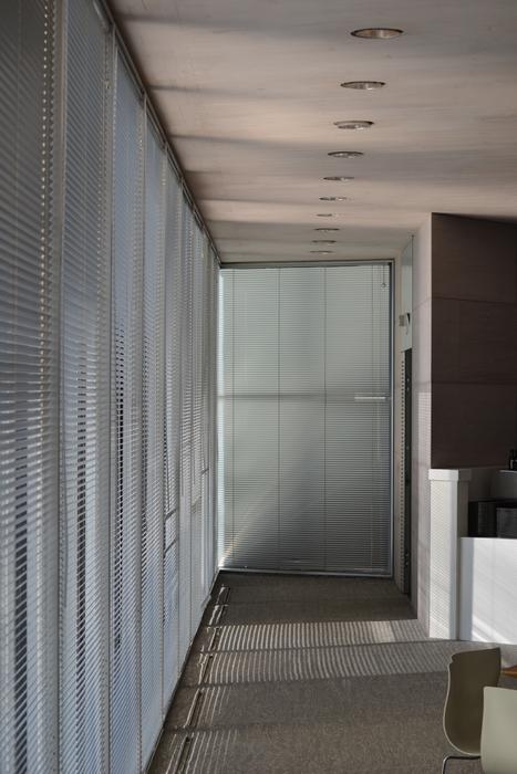 Window Blinds Shades in office